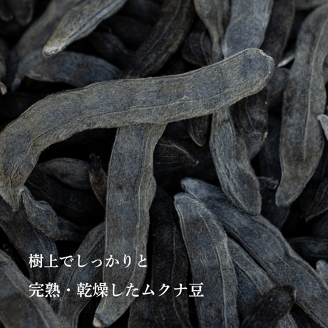 【定期便】大地のムクナ 糸島大豆の薬膳味噌 850ｇ