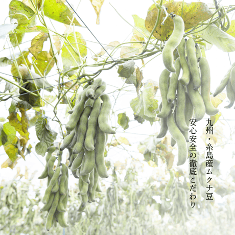 【定期便】大地のムクナ 焙煎きな粉 280g