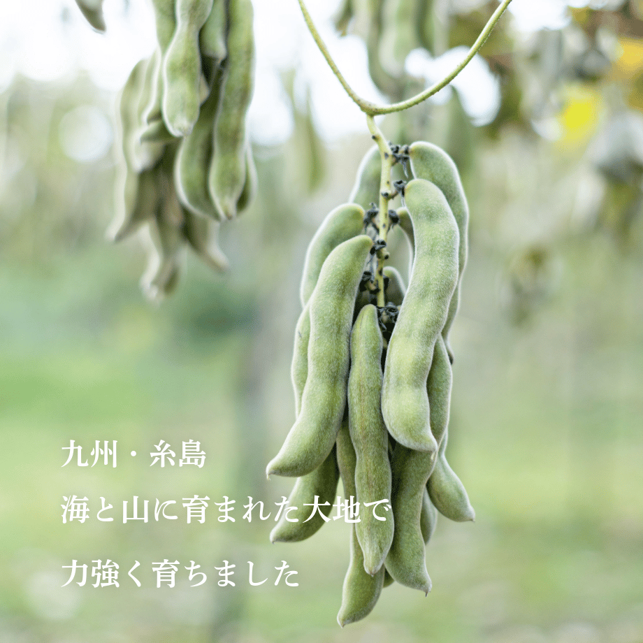 6a82bdd2878cab11826e55a9