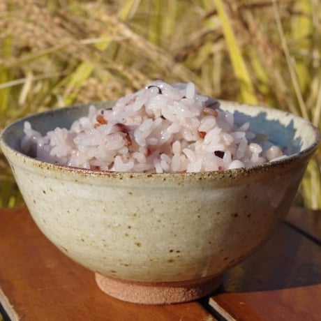 【糸島産】二丈の赤米 十穀ごはん 250g｜色彩豊かで栄養満点な雑穀米ブレンド