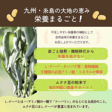 【糸島産】 大地のムクナ 焙煎きな粉 280g