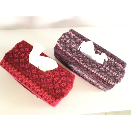 Tissue Case