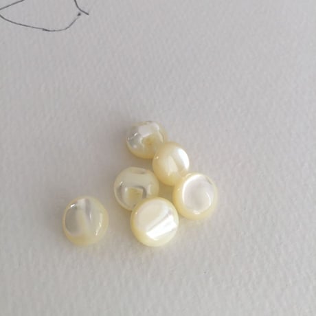 貝ボタン　８コセット