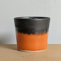 カップ