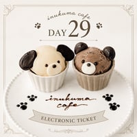 8月29日 12:20-13:20