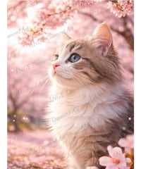 横顔の猫シリーズ桜【M-☆】