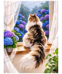 窓辺の猫　紫陽花　雨【M-☆】