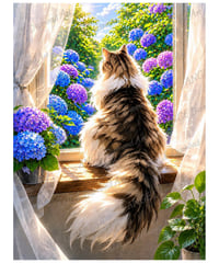 窓辺の猫　紫陽花【M-☆】