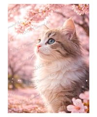 横顔の猫シリーズ桜【Mꕀ☆】