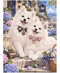 Japanese Dogs 日本スピッツ【vivi】
