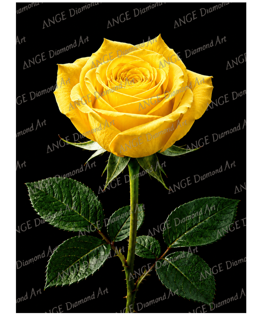 6abc280d51cc8ab0236adebf