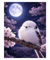 シマエナガ夜桜【Mꕀ☆】