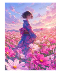10月の「コスモス」【Mꕀ☆】