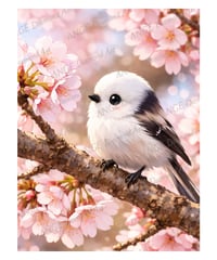 シマエナガ桜１【Mꕀ☆】