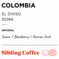 COLOMBIA EL DIVISO SIDRA 100g 【Light】