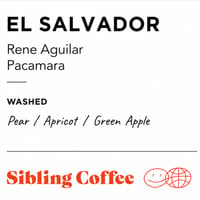 EL SALVADOR RENE AGUILAR 100g 【Light】