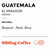 GUATEMALA EL MIRADOR GEISHA 100g 【Light】