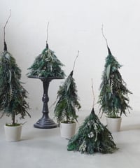 クリスマスツリー