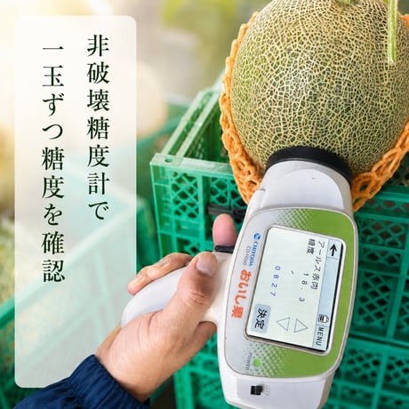 高糖度メロン｜輝北おり姫メロン 1玉 約2kg｜星空のきれいな街鹿児島県輝北から