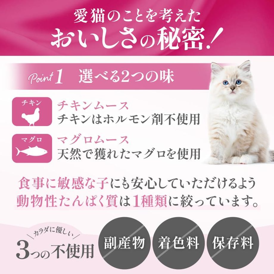 6a9a05aae2a988758efa5008