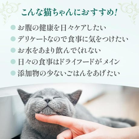 HappyDays Cherie チキン＆海藻inグレービー お腹の健康維持 成猫用 80g