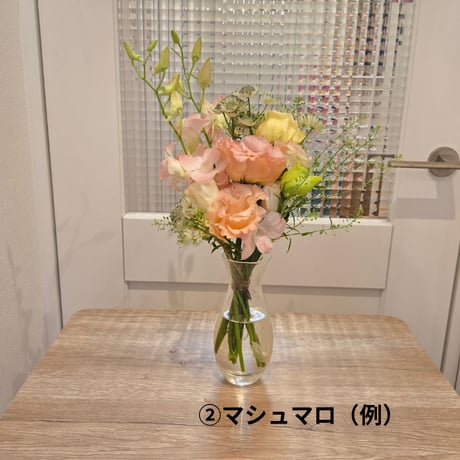 ご自宅用ーラッピングなしー