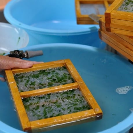 青海苔たたみいわし はがき判 3枚入