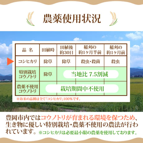 【定期便】新米 無洗米 5kg お米 コシヒカリ 令和8年産 林米 兵庫県 豊岡市産