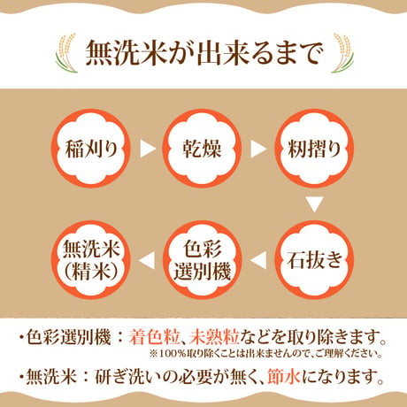 【定期便】新米 無洗米 5kg お米 コシヒカリ 令和8年産 林米 兵庫県 豊岡市産