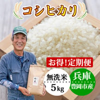 【定期便】新米 無洗米 5kg お米 コシヒカリ 令和8年産 林米 兵庫県 豊岡市産