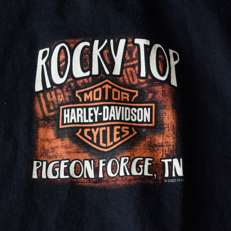 HARLEY DAVIDSON T-SHIRT BIG FOOT L