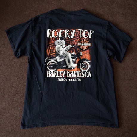 HARLEY DAVIDSON T-SHIRT BIG FOOT L