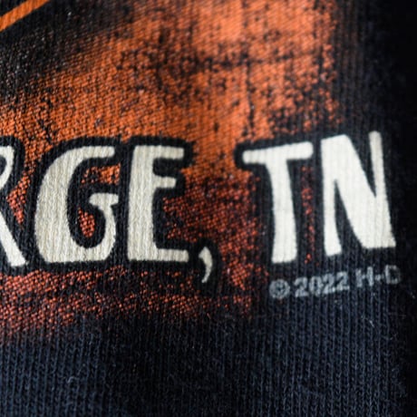 HARLEY DAVIDSON T-SHIRT BIG FOOT L