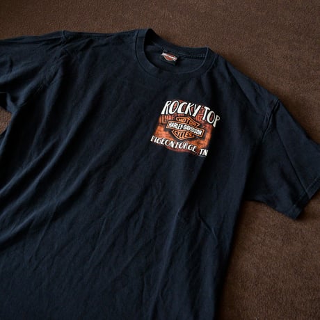 HARLEY DAVIDSON T-SHIRT BIG FOOT L