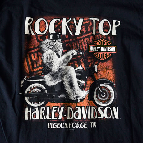HARLEY DAVIDSON T-SHIRT BIG FOOT L