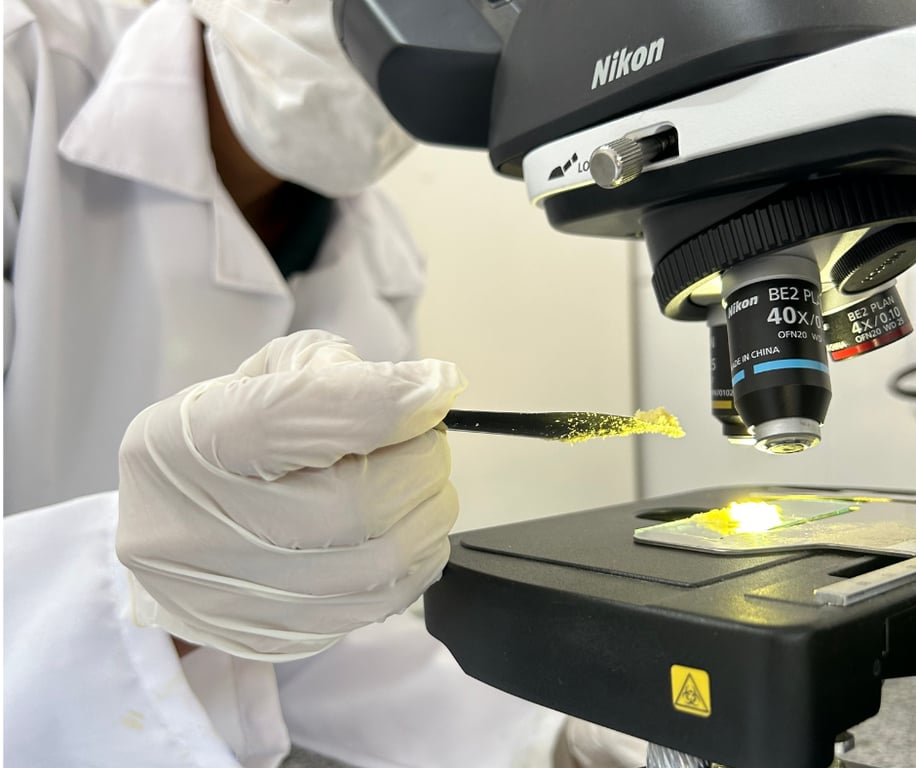 Profissional analisando colostro em laboratório