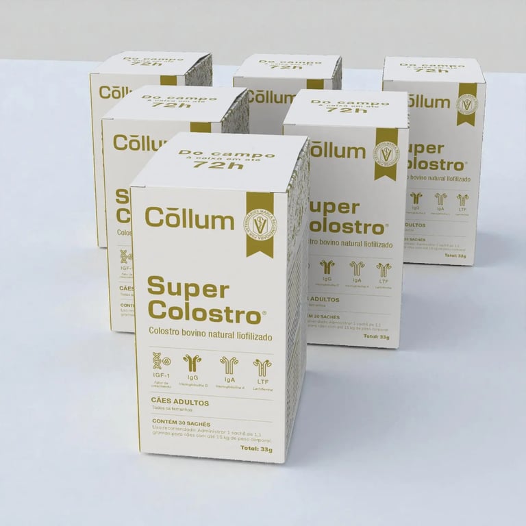 Kit 6 caixas Super Colostro