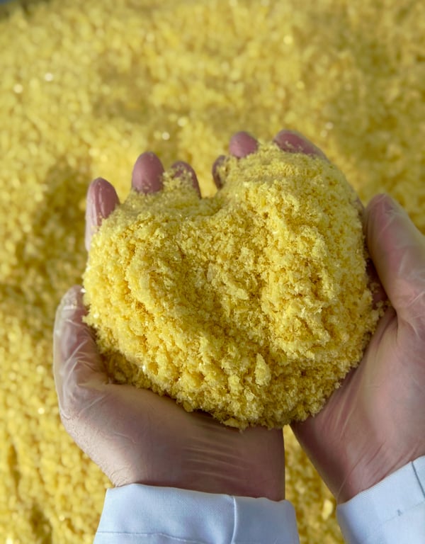 Controle de qualidade Cōllum