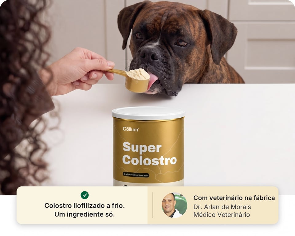 Mês 1 · O intestino em ordem