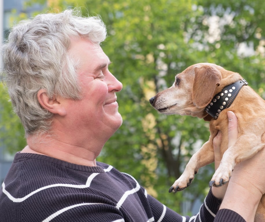 Cão ao ar livre no terceiro mês de uso