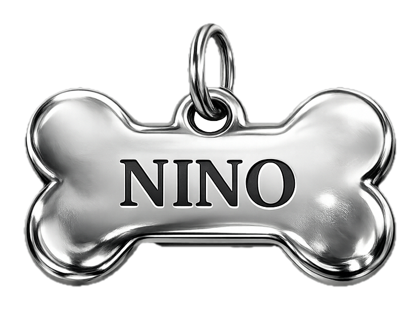Pingente de metal com o nome do cão gravado, brinde do Clube Cōllum