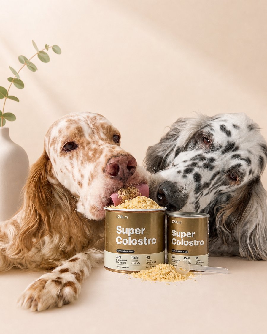 Dois cães lambendo o pó de Super Colostro nas latas Cōllum