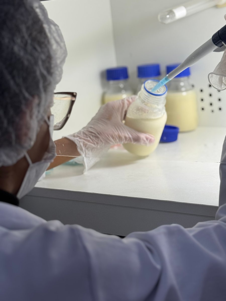 Análise do colostro no laboratório da fábrica Cōllum, lote a lote