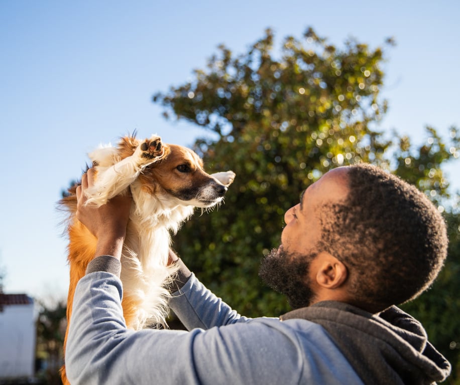 Tutor com cão no colo no segundo mês de uso