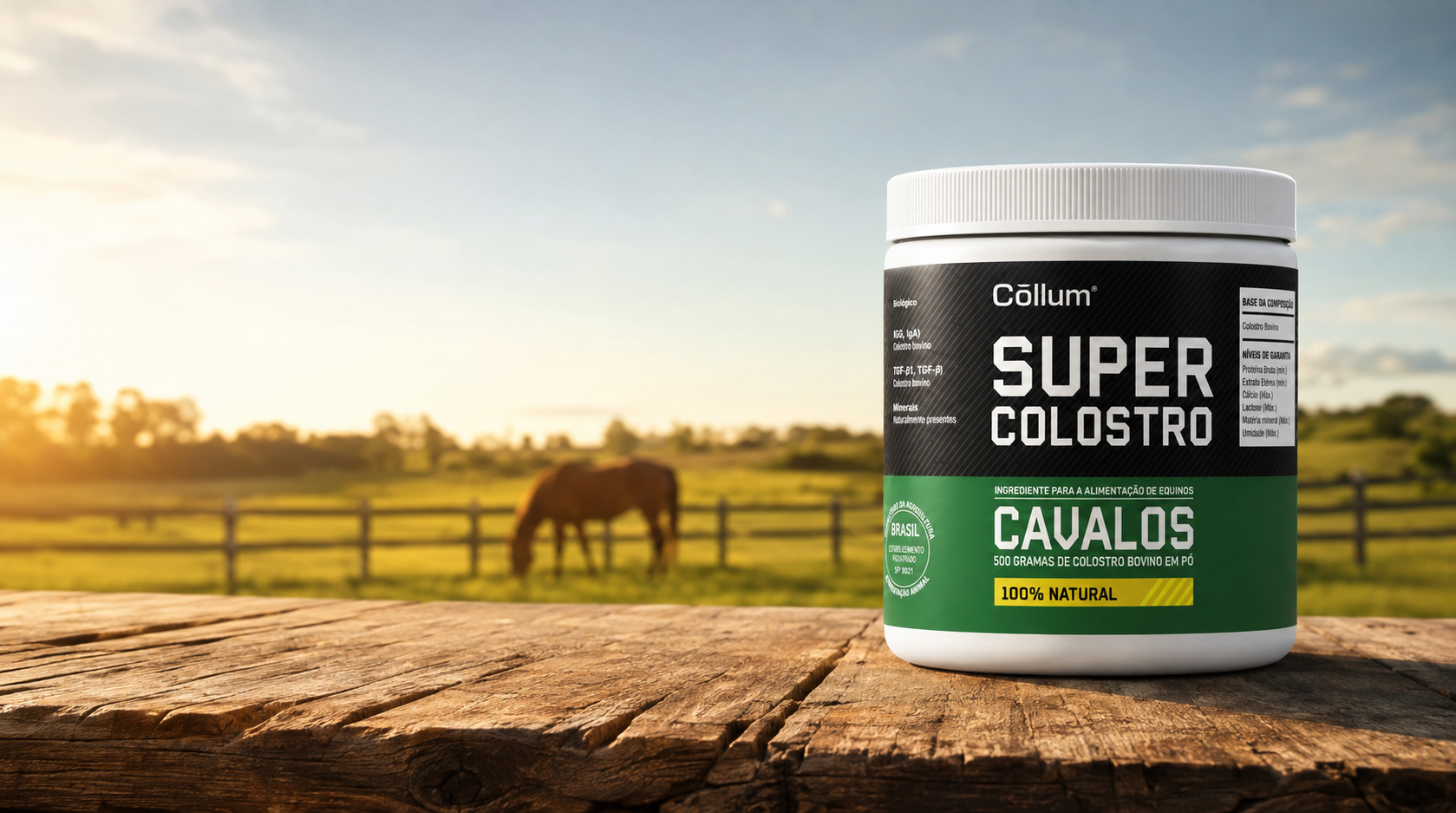 Super Colostro para cavalos no haras