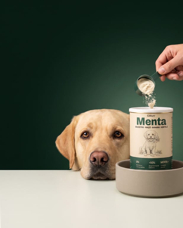 Labrador ao lado da lata Menta enquanto uma mão serve o scoop no pote