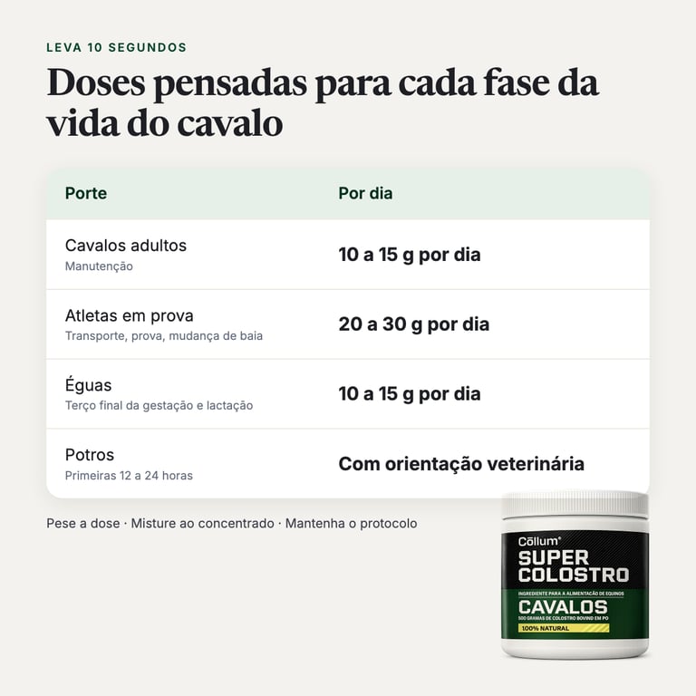 Como usar, por porte