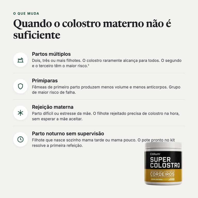 O que muda nas primeiras 18 horas