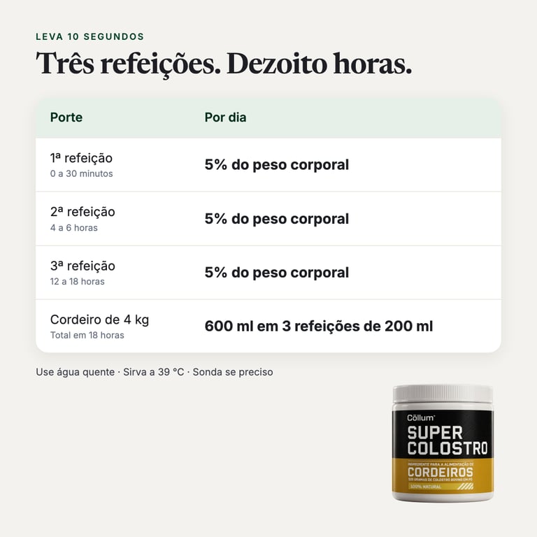 Como usar, por porte
