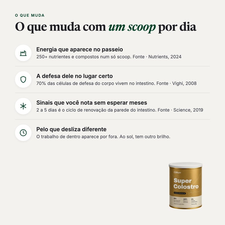 O que muda com um scoop por dia
